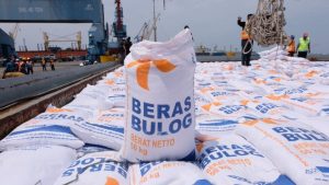 59 Tahun Perum Bulog: Menjaga Stabilitas Pangan dan Ketahanan Nasional